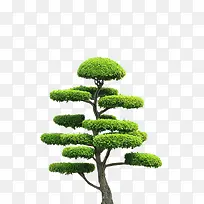 ��֦-������