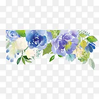 ˮ��ֲ��-������