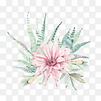 水彩花卉植物-空若网 水彩花卉植物-空若网