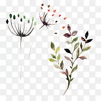 ˮ��ֲ�ﻨ��-������