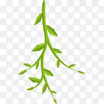 �ݱ���֦-������