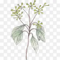 Ê÷Ö¦ÉϵÄÂÌÒ¶-¿ÕÈôÍø Ê÷Ö¦ÉϵÄÂÌÒ¶-¿ÕÈôÍø