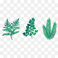 ˮ����ɫʸ��ֲ��-������