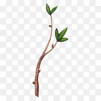 卡通手绘树枝绿叶-空若网 卡通手绘树枝绿叶-空若网