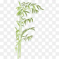 ��֦-������