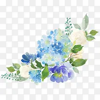 ˮ��ֲ��-������