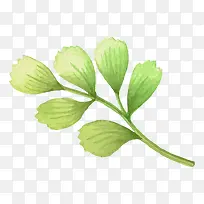 �ֻ�ֲ��-������