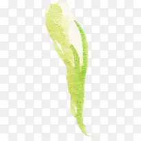 手绘植物-空若网 手绘植物-空若网