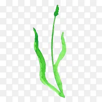 ˮ��ֲ��-������