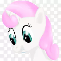 猫须,鼻子,食肉,闪烁-空若网 猫须,鼻子,食肉,闪烁-空若网