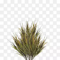 草图像文件格式剪贴画草-空若网 草图像文件格式剪贴画草-空若网