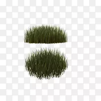 ��ƺ���Ͳ���Ҷ��-������