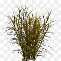 ���Ͳ���Ȫ��-������