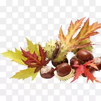 板栗食品-金银花夹艺术-空若网 板栗食品-金银花夹艺术-空若网