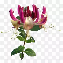 ������������-������