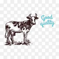 �ֻ���ʳ-������