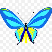 手绘蝴蝶-空若网 手绘蝴蝶-空若网