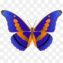 �ֻ����-������