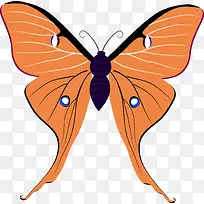 �ֻ����-������