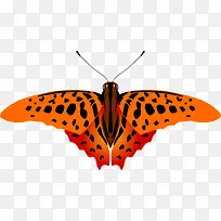 �ֻ����-������