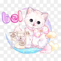 可爱猫咪-空若网 可爱猫咪-空若网