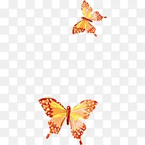 彩色花蝴蝶-空若网 彩色花蝴蝶-空若网