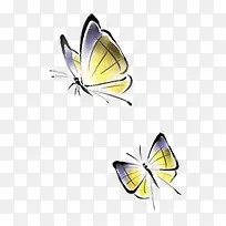 蝴蝶素材图片-空若网 蝴蝶素材图片-空若网