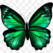 手绘蝴蝶-空若网 手绘蝴蝶-空若网