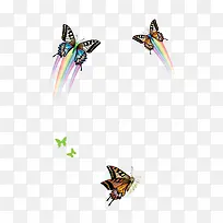 矢量蝴蝶彩色-空若网 矢量蝴蝶彩色-空若网