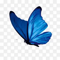 ����-������