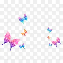 彩色蝴蝶-空若网 彩色蝴蝶-空若网