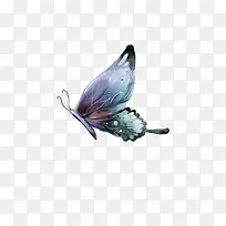 蝴蝶水彩-空若网 蝴蝶水彩-空若网