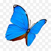 ����-������