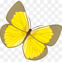 ��ɫ����pngʸ���ز�-������