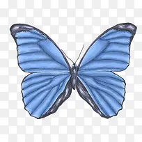 水彩手绘蝴蝶-空若网 水彩手绘蝴蝶-空若网