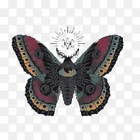 手绘蝴蝶-空若网 手绘蝴蝶-空若网