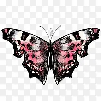 手绘蝴蝶-空若网 手绘蝴蝶-空若网