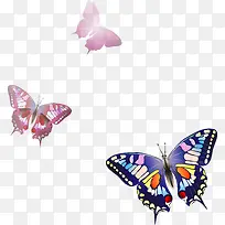 蝴蝶彩色矢量图-空若网 蝴蝶彩色矢量图-空若网