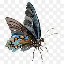 卡通可爱小动物装饰设计动物头像-空若网 卡通可爱小动物装饰设计动物头像-空若网