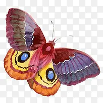 卡通可爱小动物装饰设计动物头像-空若网 卡通可爱小动物装饰设计动物头像-空若网