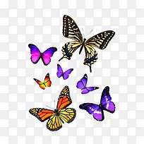 手绘蝴蝶-空若网 手绘蝴蝶-空若网