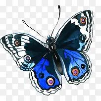 ��ͨ�ɰ�С����װ����ƶ���ͷ��-������