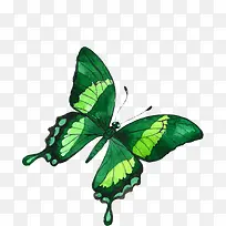 ��ͨ�ɰ�С����װ����ƶ���ͷ��-������