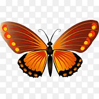 �ֻ����-������