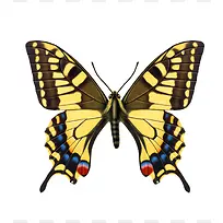 ����-������