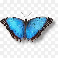 ����-������