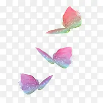 蝴蝶-空若网 蝴蝶-空若网