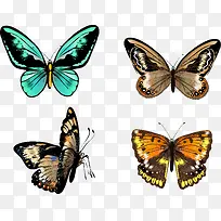 �ֻ����-������