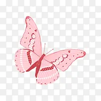 手绘蝴蝶-空若网 手绘蝴蝶-空若网