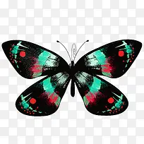 手绘蝴蝶-空若网 手绘蝴蝶-空若网